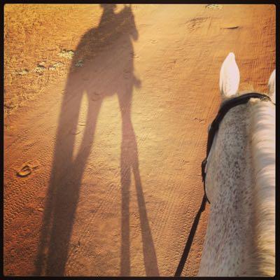 horse and his shadow on a dusty trail ride