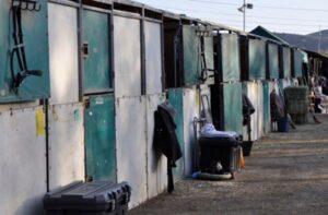 horse-show-stalls
