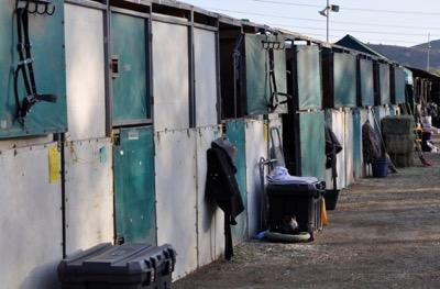 horse-show-stalls