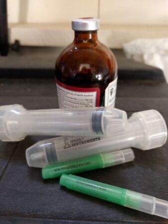 horse meds in bottle with needles and syringes