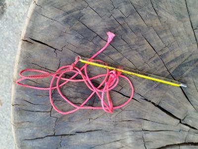 horse thermometer with attached string
