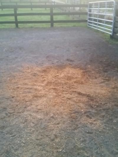 outdoor pile of shavings