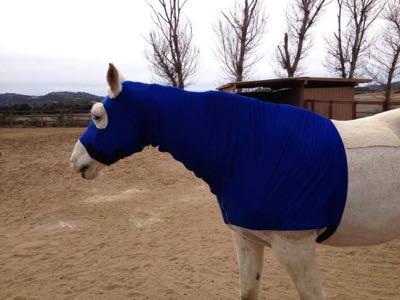 horse-slinky-hood