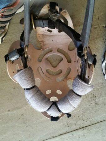 grazing muzzle wrapped in a leg quilt