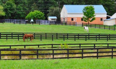 lush green pasture with barn in the background