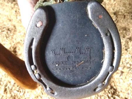 horseshoe with pad to protect the hoof sole