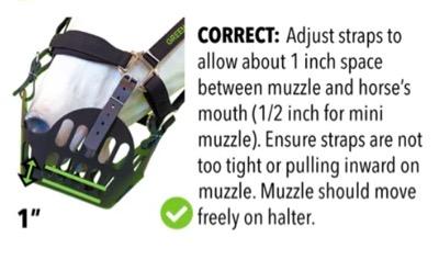 correct alignment of muzzle and horse nose