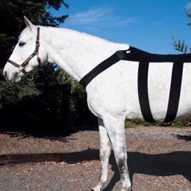 hot or cold blanket for horse back