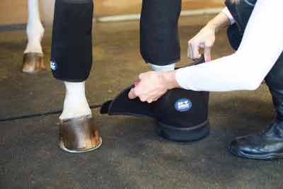 tendon ice wraps and hoof ice boot
