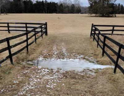 icy patch in pasture