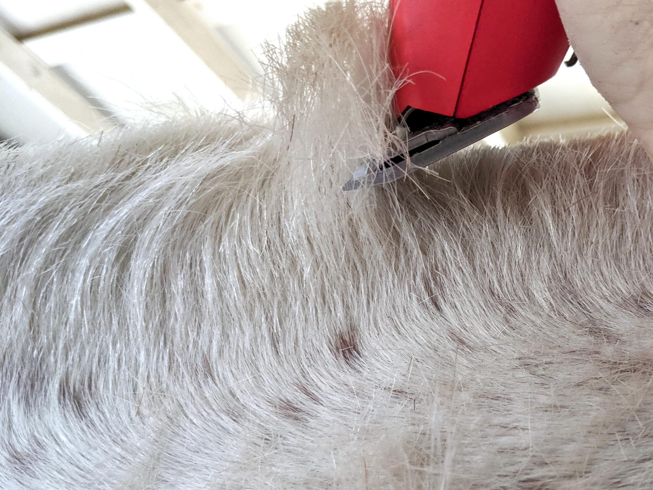 body clippers roaching a mane