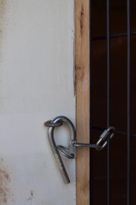 kiwi latch that most horses can not open