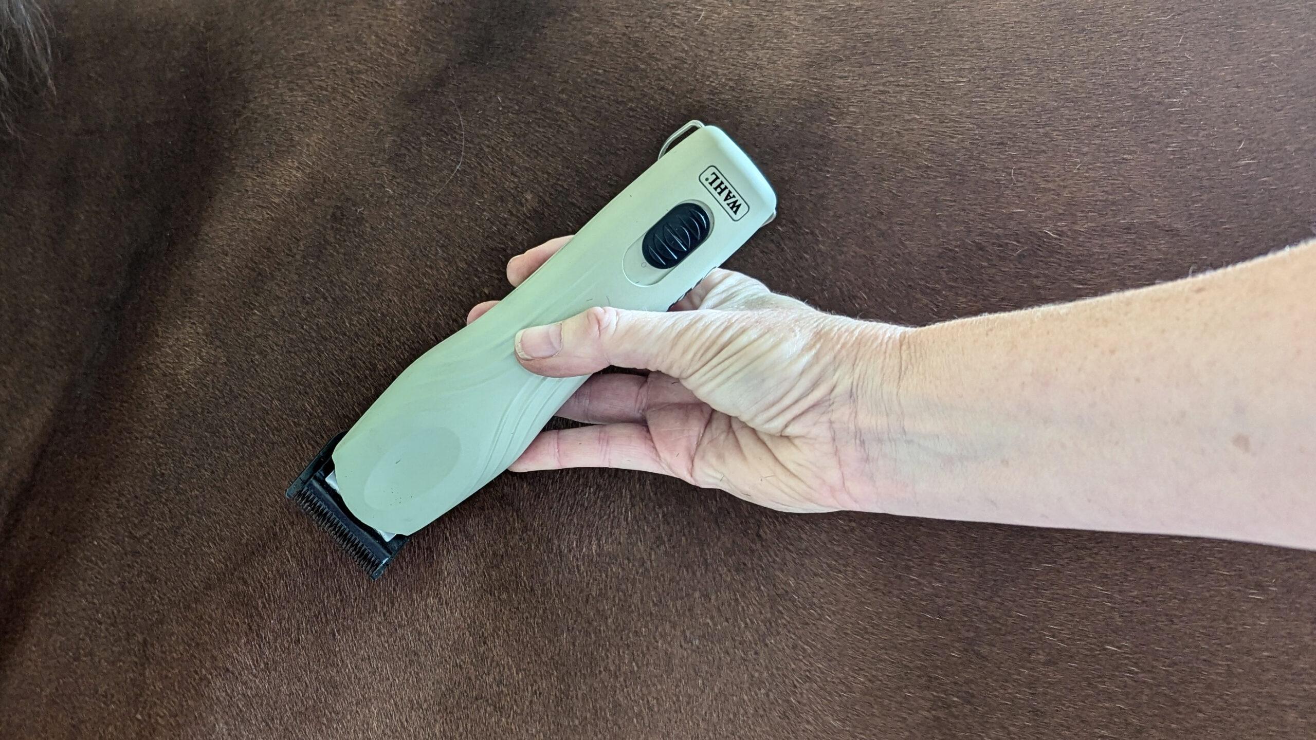 holding clippers from below