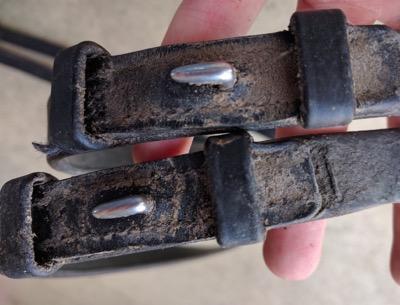 crusty reins with lots of mud and dirt