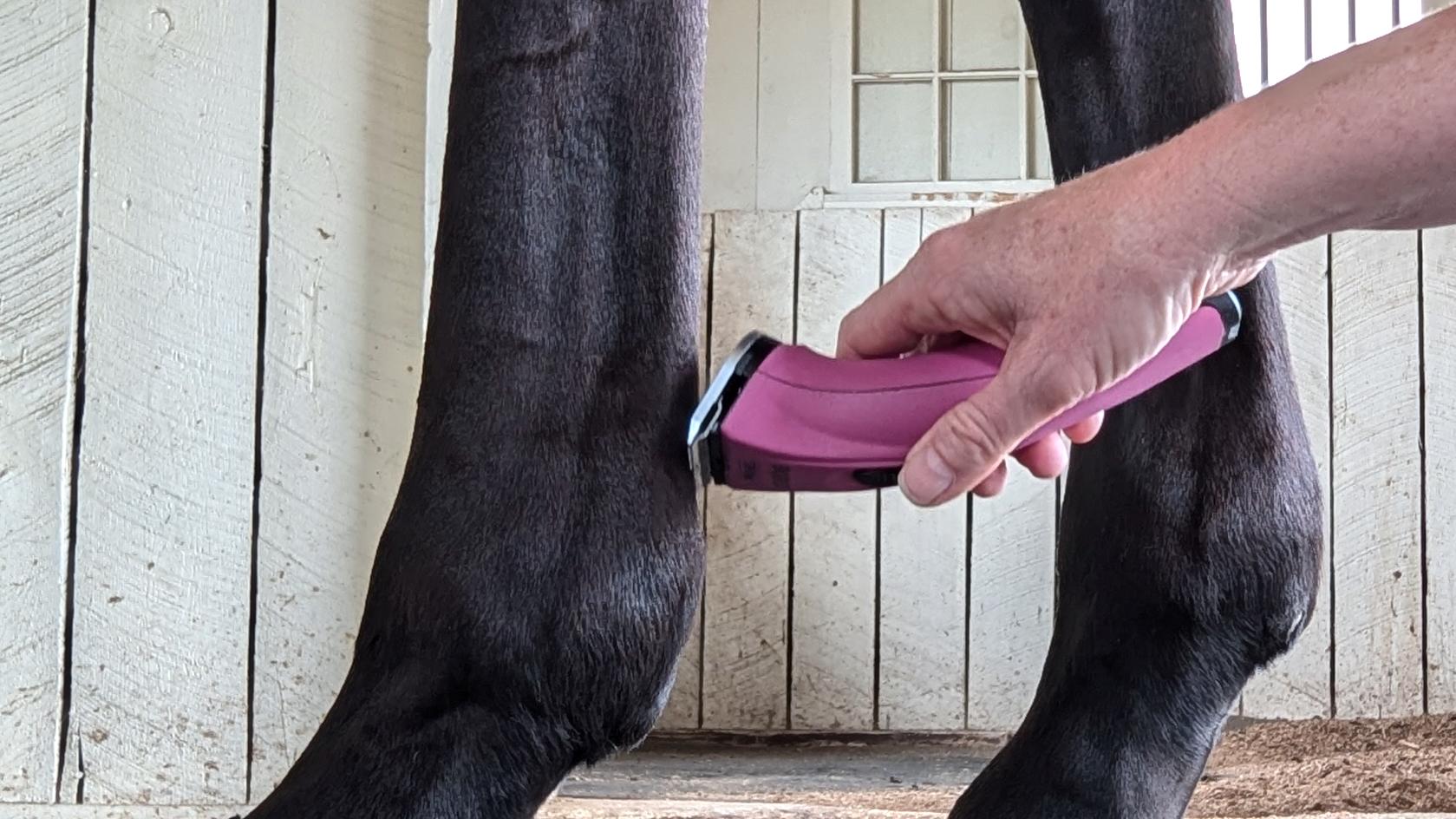 raking the trimmer down the lower leg fetlock area