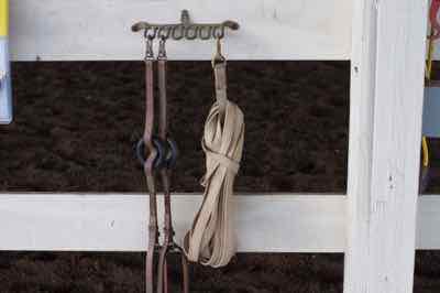 side reins and lunge line at the side of the arena