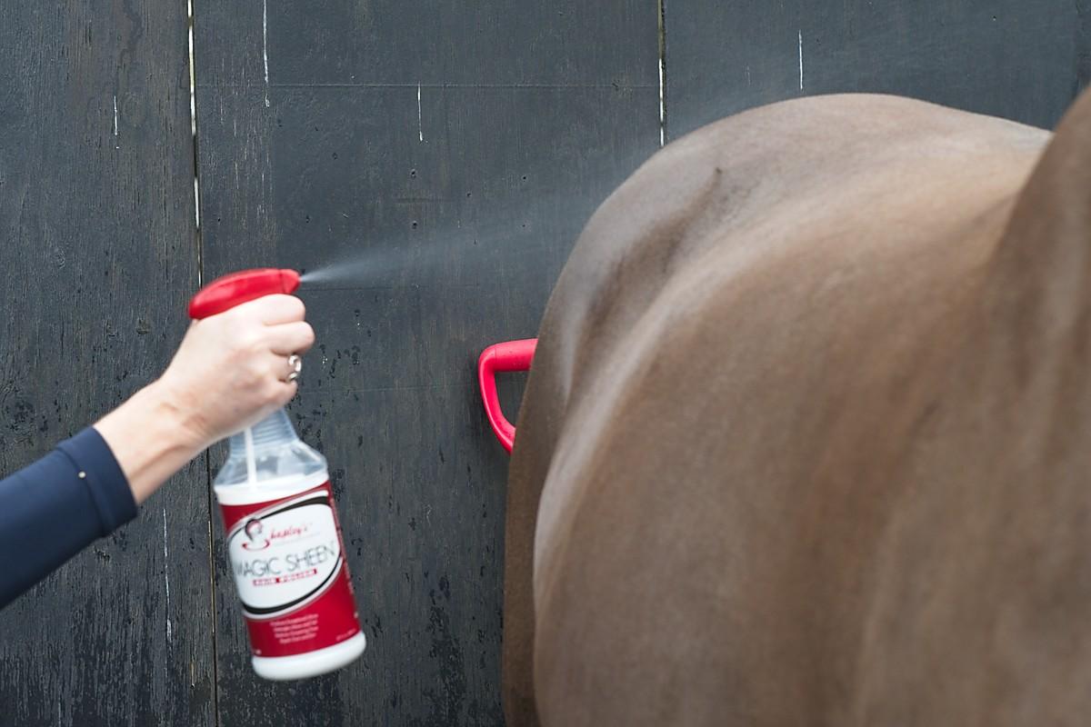 horse flank being sprayed with magic sheen