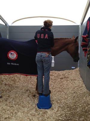 max braiding a horse