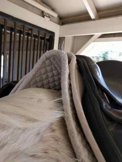 saddle pads pulled up in gullet