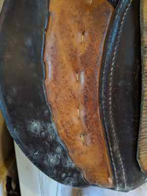 mold on saddle flap