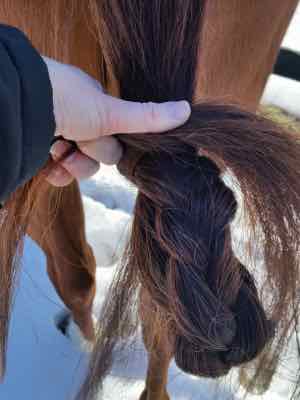 make a loop on the mud knot