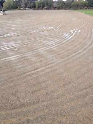 horse riding arena that was smoothed before a rain
