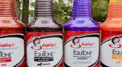 color enhancing shampoos