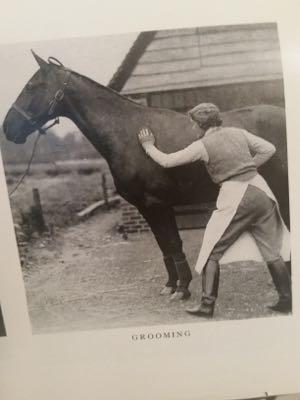 old-horse-grooming-outfit