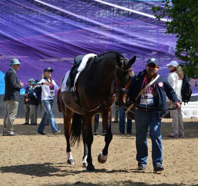Ruben with Olympic horse