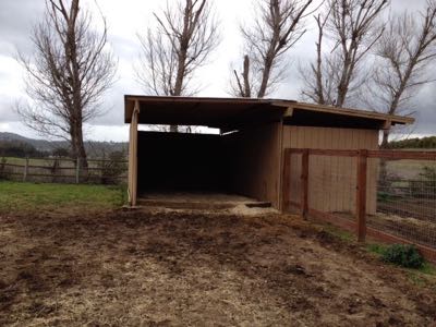 three sided horse shed in a paddock