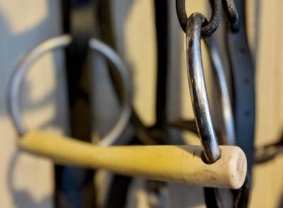 plastic bit mullen mouth