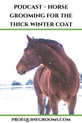 podcast furry horse care