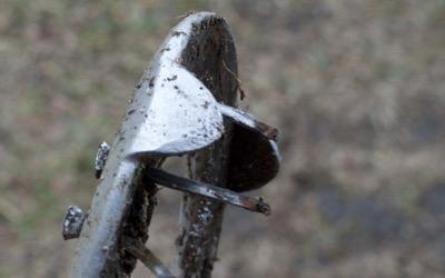 horseshoe that was pulled from a hoof and the nails still attached