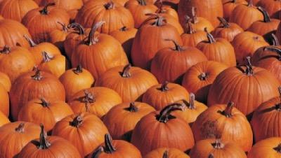 pumpkins stacked together