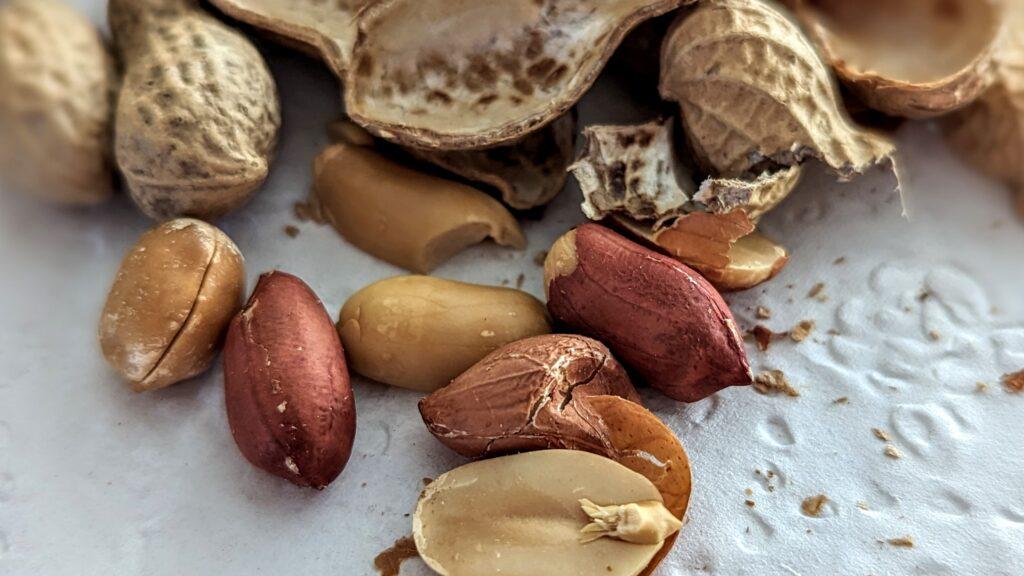 peanuts for horses out of the shell