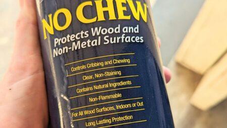 no chew spray for horses