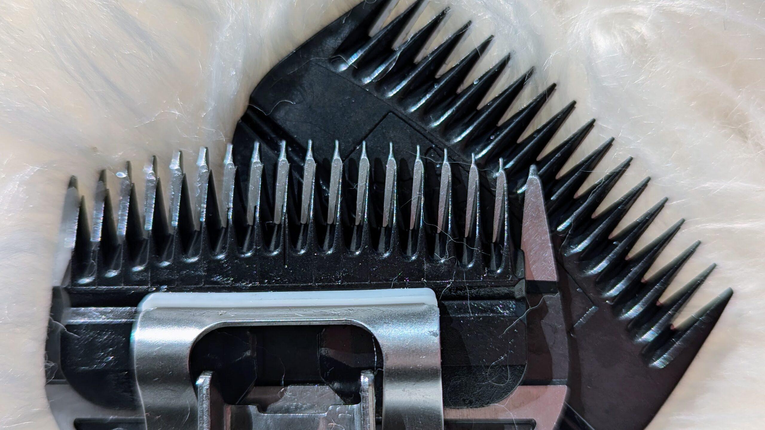 close up of livestock clipper blades showing how long the teeth are