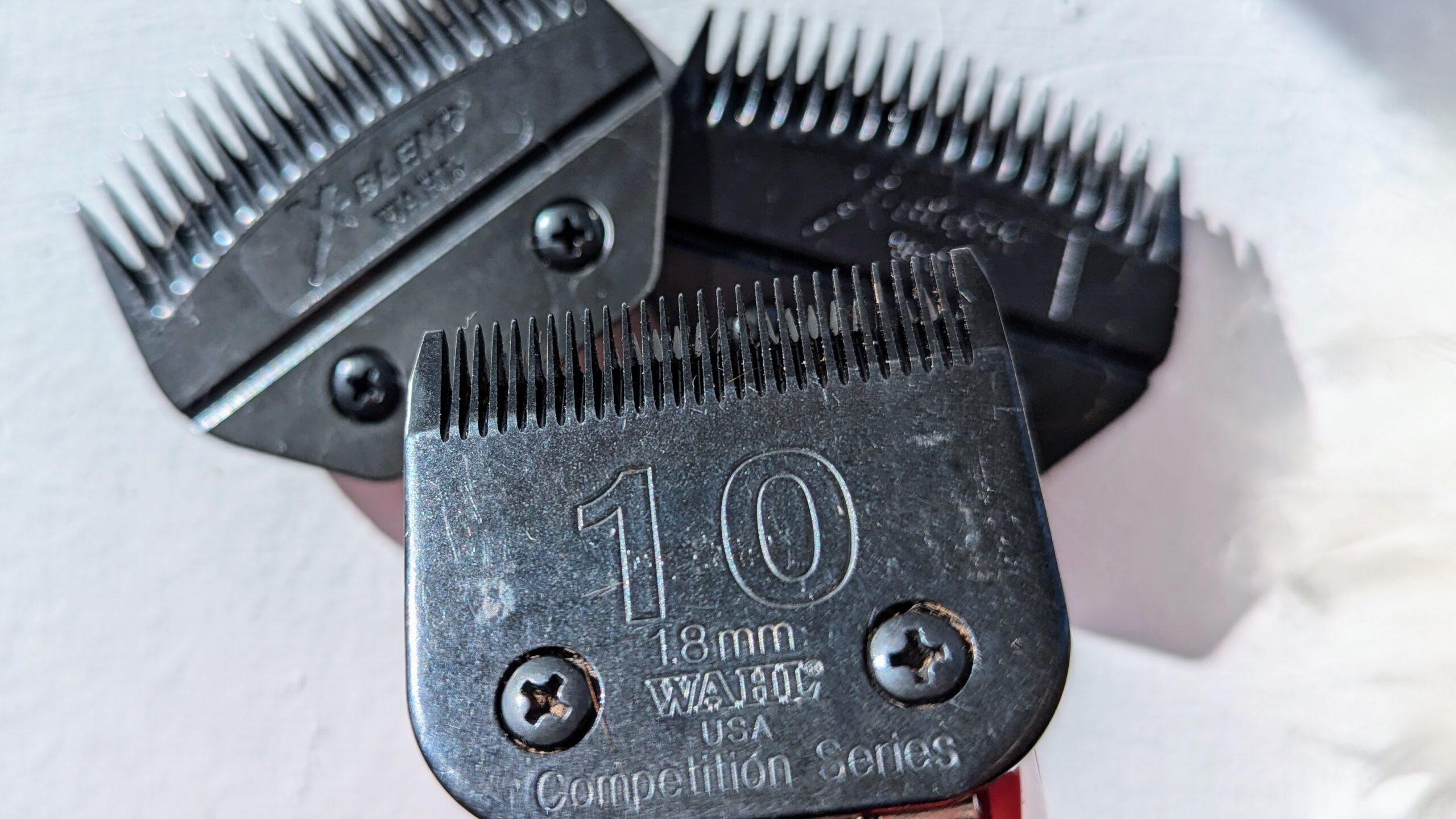 #10 blade in front of a blocking and blending blade for livestock clippers 