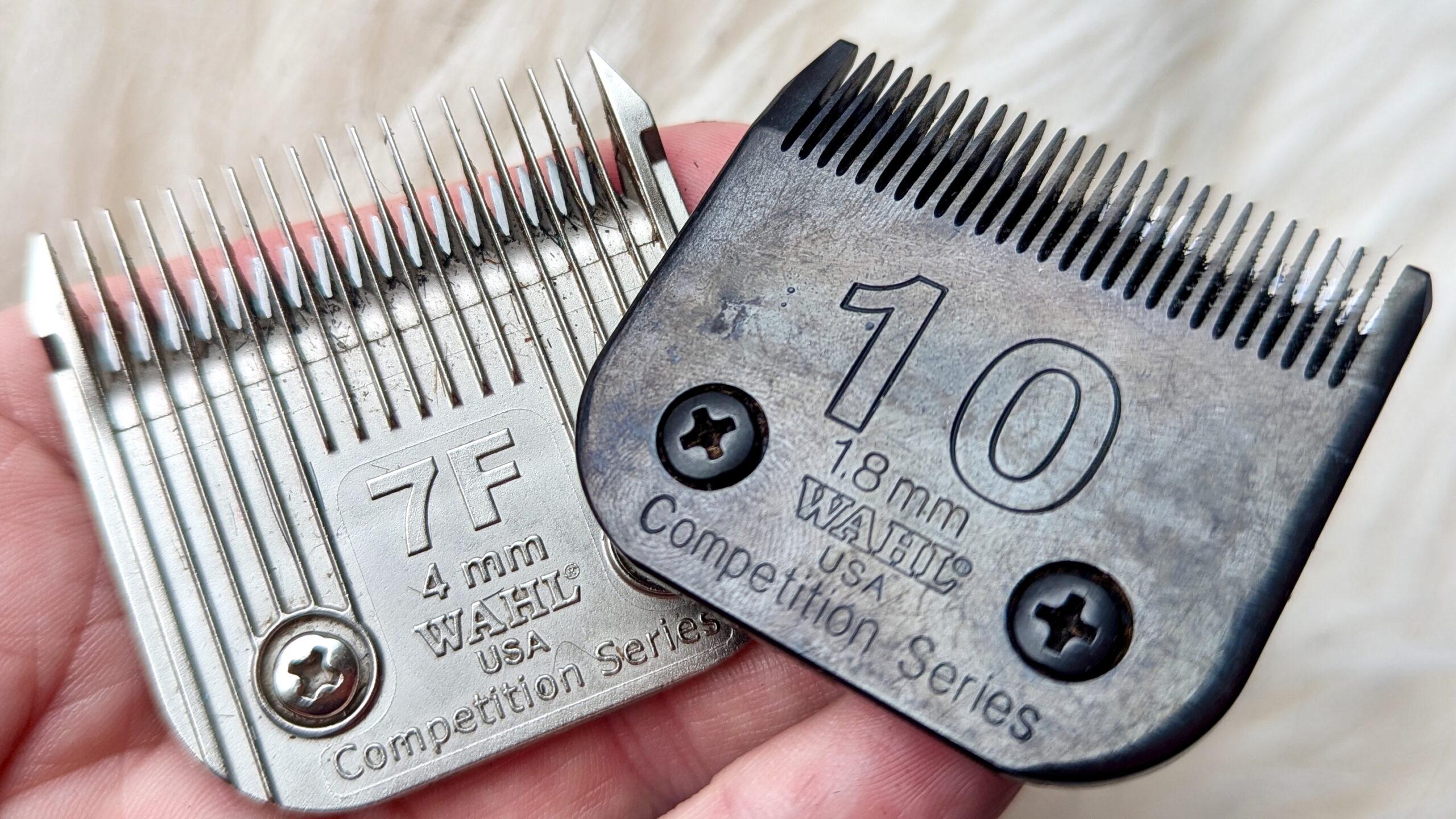 number 7F blade and number 10 blade comparison