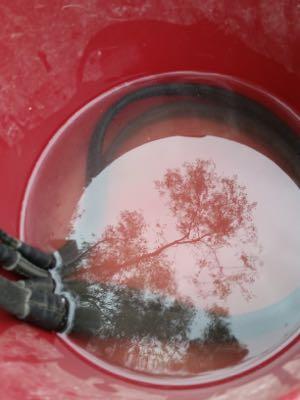 soak your rubber reins in water