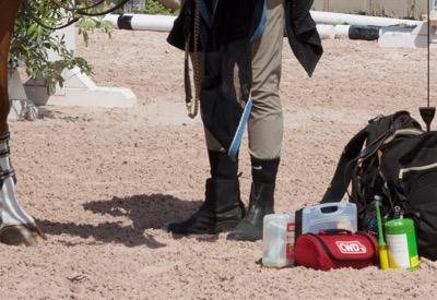 groom waiting ringside