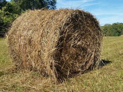 round bale that looks ragged