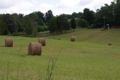 round bales in a field with hills