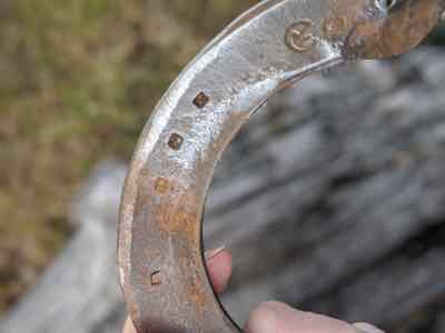 rusty horse show with some rust gone