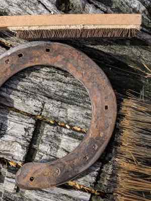 rusty horseshoe with metal brush