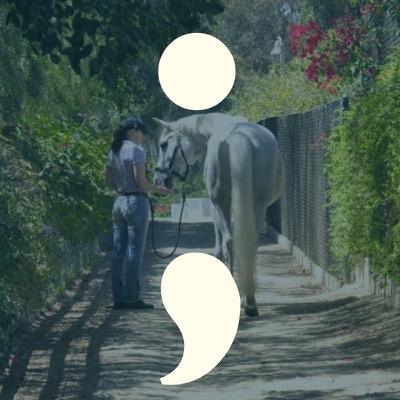 semi colon over photo of a horse and groom