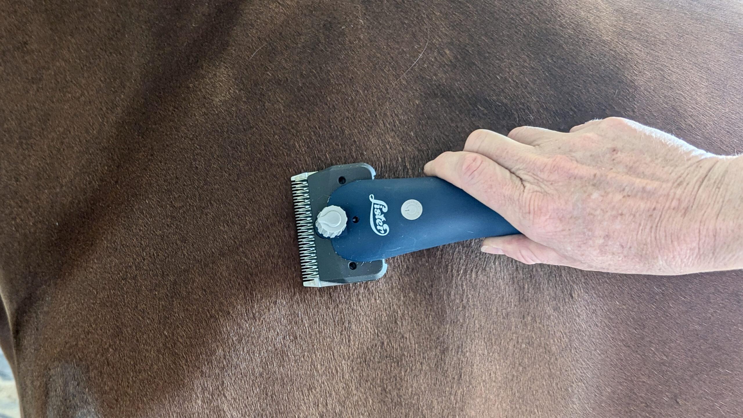 holding shears from above