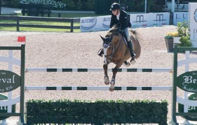 horse over a fence in a horse show