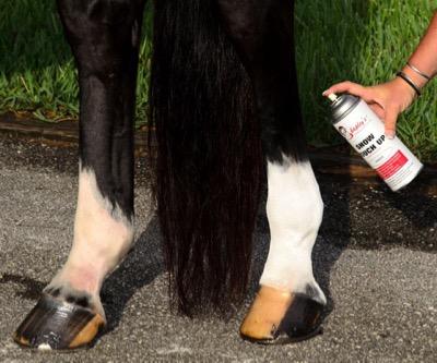 show touch ups on white sock