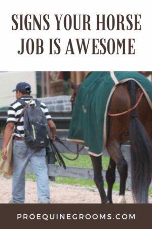 signs your horse job is awesome